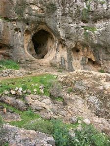 Skhul Cave wikimedia